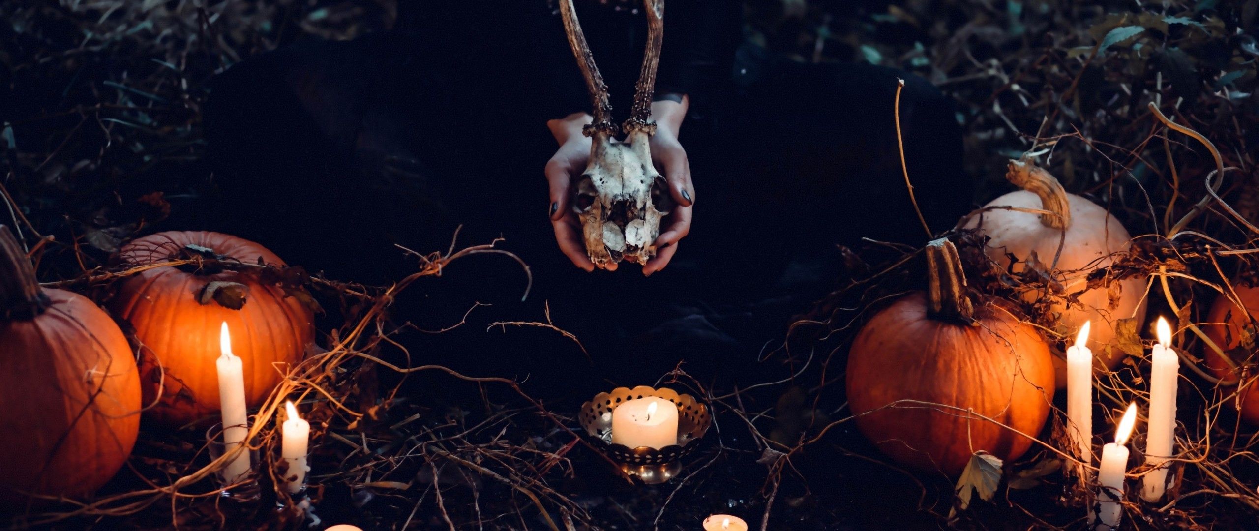 Download 2560x1080 Halloween Pumpkins, Skull, Candles, Ritual Wallpaper
