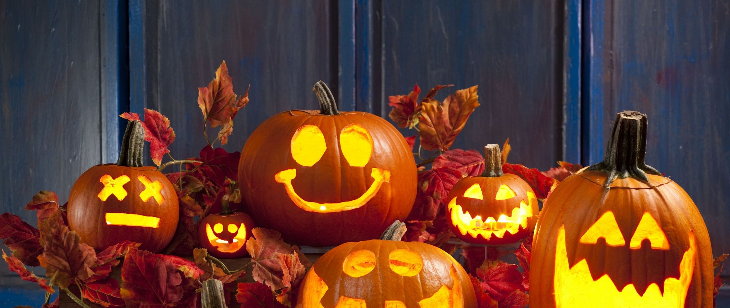 Free download Download Halloween pumpkin 4k 8510 Dual Wide display 1080p [ 2560x1080] for your Desktop, Mobile & Tablet. Explore Halloween Pumpkin 1080p Wallpaper. Halloween Pumpkin 1080p Wallpaper, Halloween Pumpkin