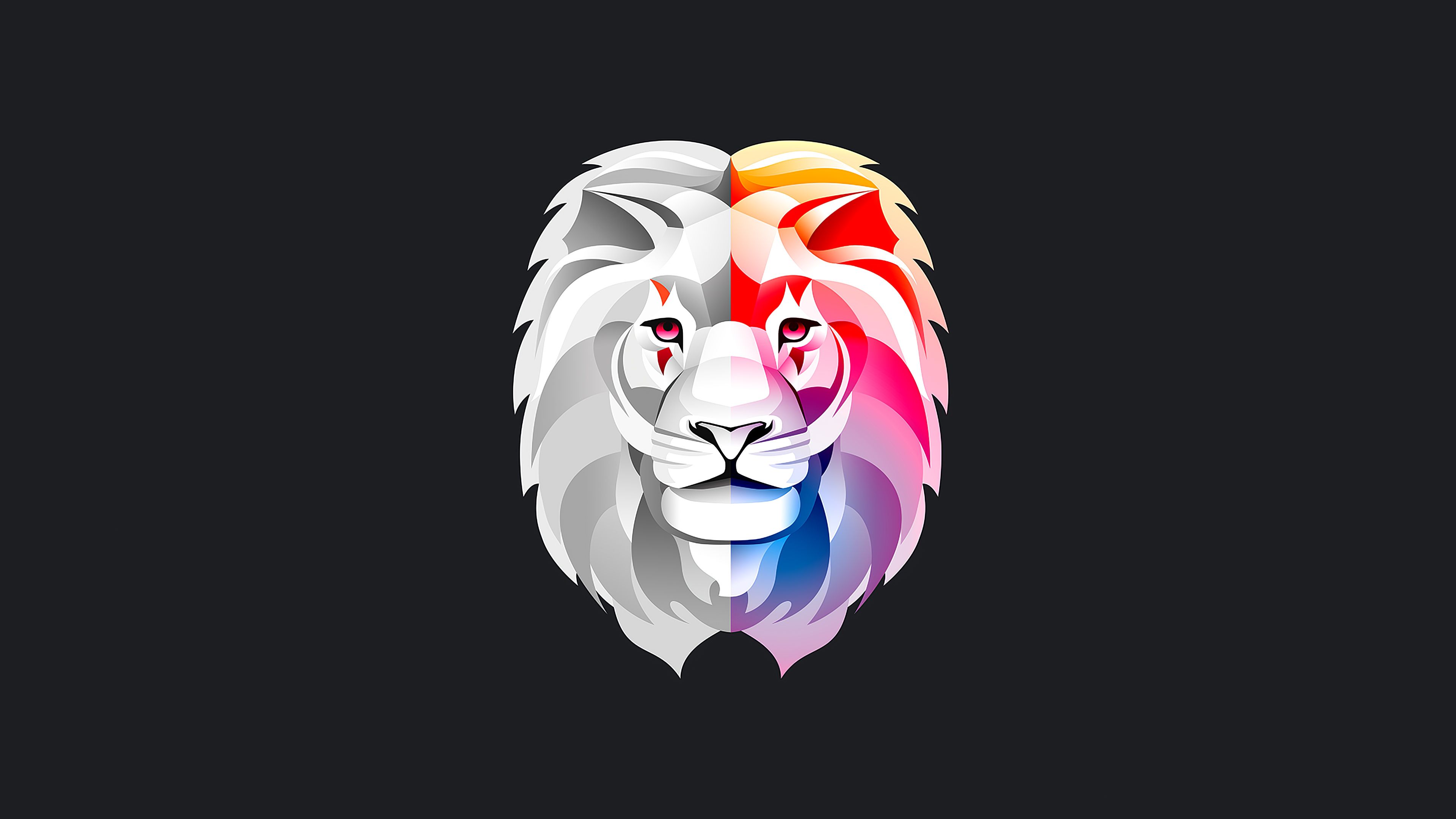 Lion Colorful Abstract Minimal 4k, HD Artist, 4k Wallpaper, Image, Background, Photo and Picture