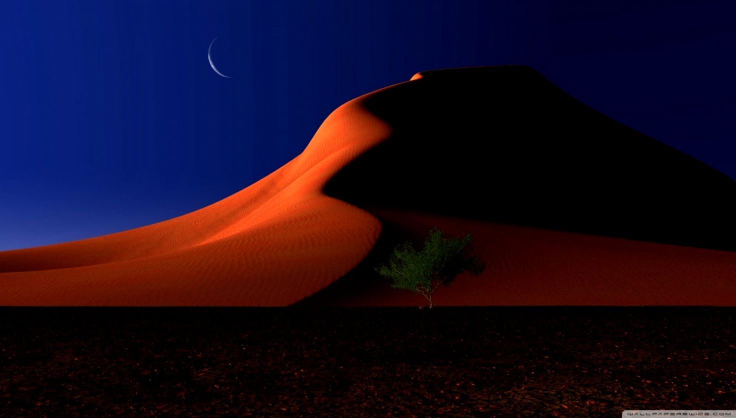 Night Desert Wallpaper