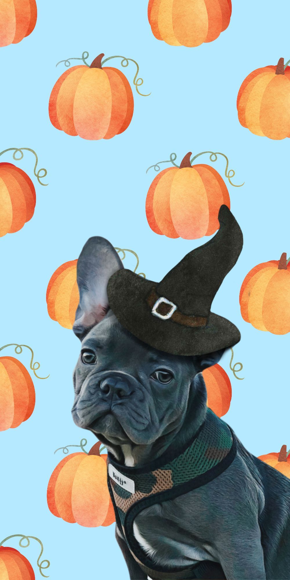 Halloween French Bulldog [OC]. Dog wallpaper iphone, Bulldog wallpaper, French bulldog wallpaper