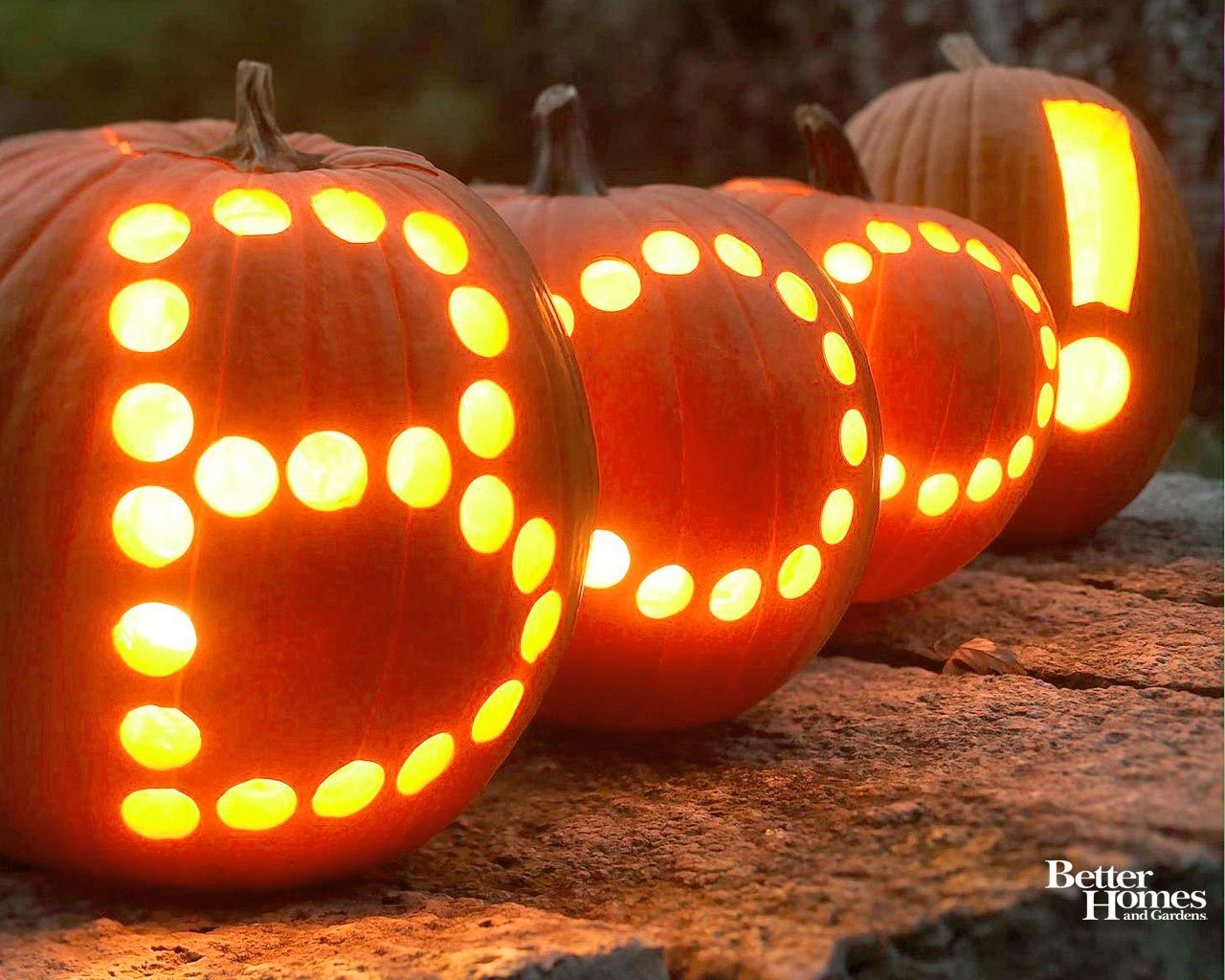 Free download Fall Pumpkin Background For Computer Image Picture Becuo [1280x1024] for your Desktop, Mobile & Tablet. Explore Free Fall Wallpaper with Pumpkins. Free Fall Wallpaper For Desktop, HD