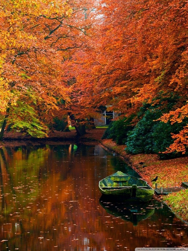 Landscape Autumn HD Wallpaper