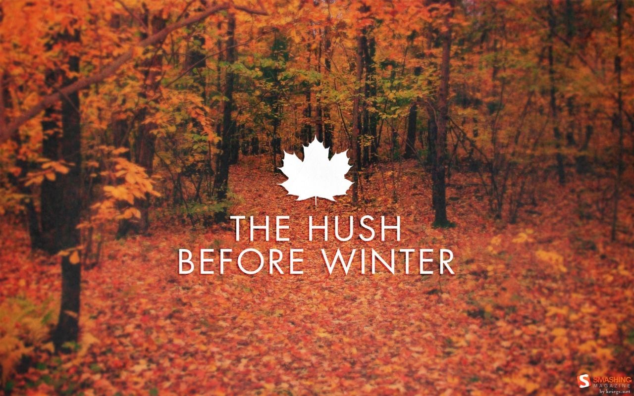 The Hush Before Winter Picture, Photo, and Image for Facebook, Tumblr, , and Twitter