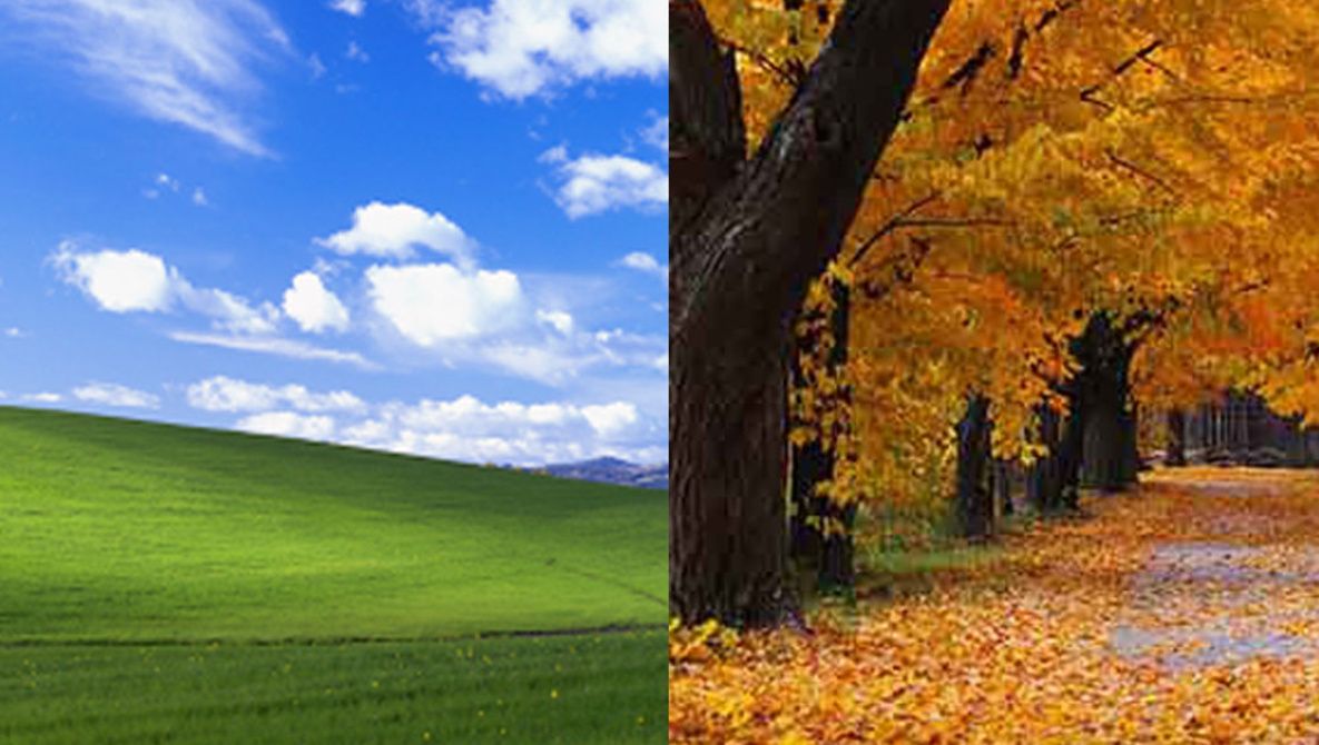 $000 Vs. $45: The Differences Paid to the Photographers Behind These Microsoft Windows Image