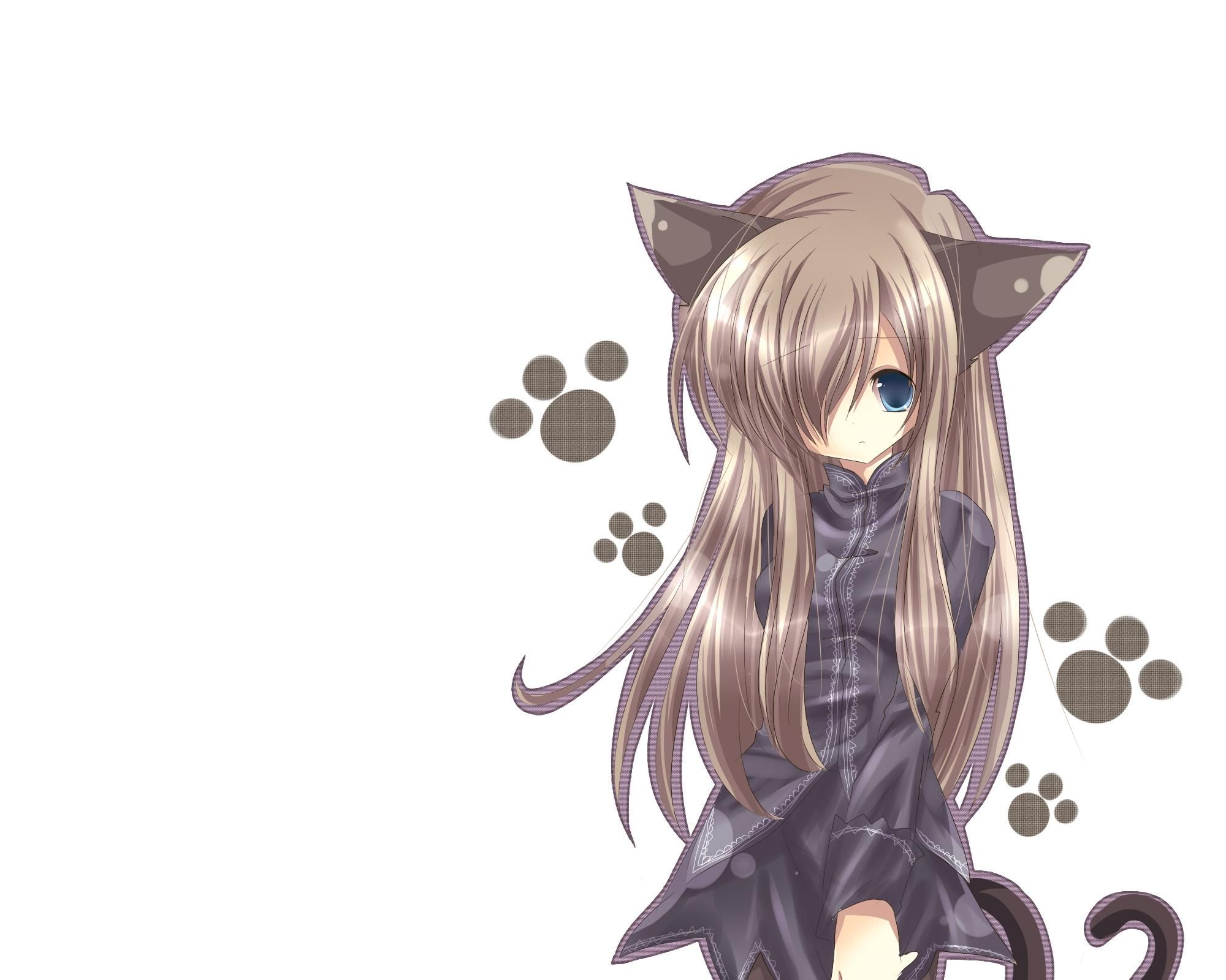 Catgirl, Animal ears, Anime, Long hair, White. Cute anime wallpaper, Anime cat, Cat girl