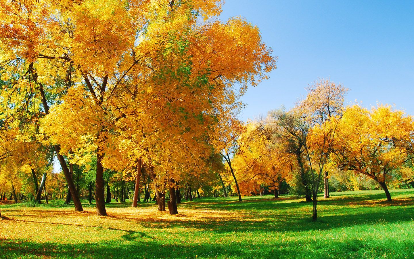 Autumn scenery 10769 Theme scenery. Autumn landscape, Fall wallpaper, Desktop wallpaper fall