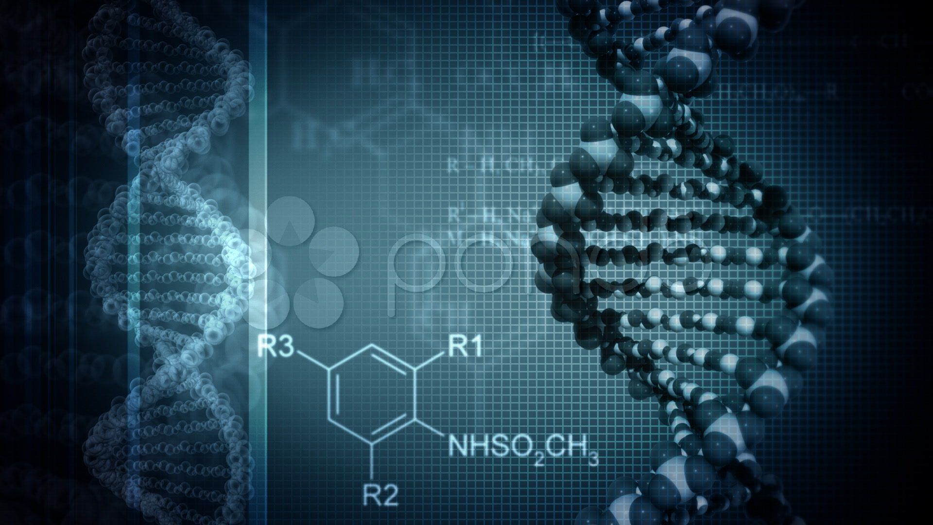 Biotech Valuation Best Practices | Toptal®