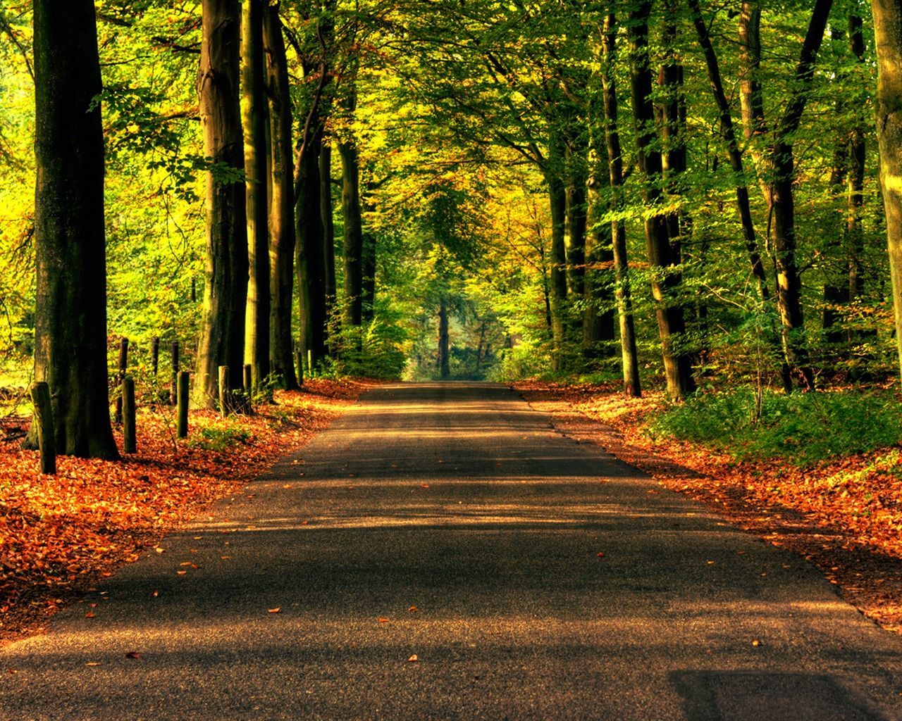 Road to Autumn wallpaper. Autumn wallpaper. Nature scenes, Autumn landscape, Landscape