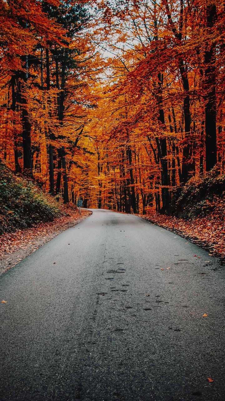 Road To Autumn Wallpapers - Wallpaper Cave