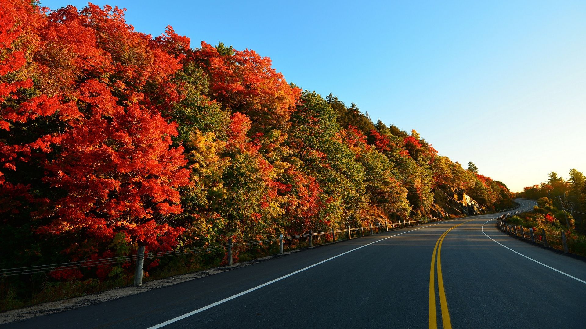 Autumn Season Road Side beautiful Trees Wallpaper