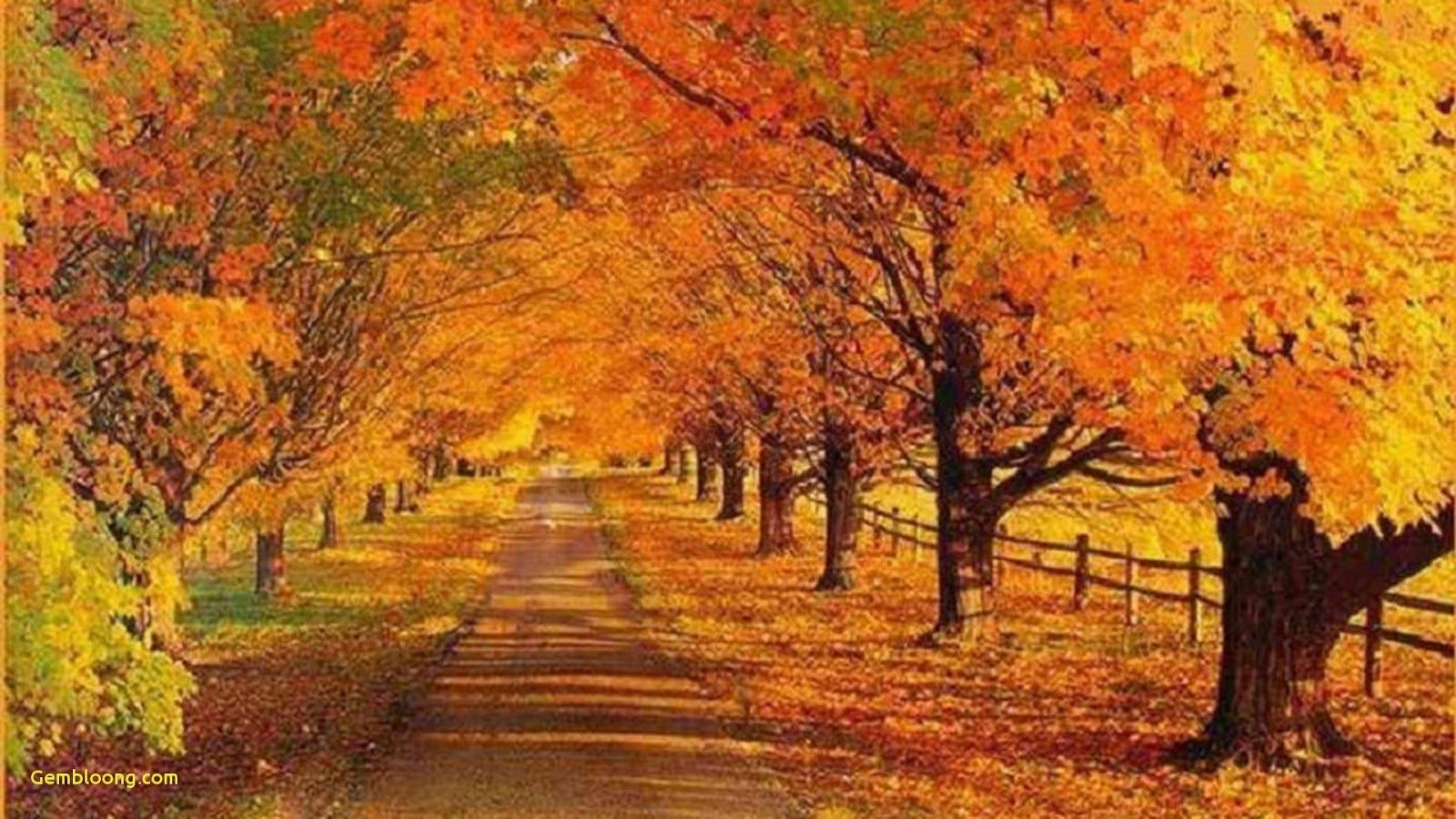 Fall Scene Wallpaper Free Desktop