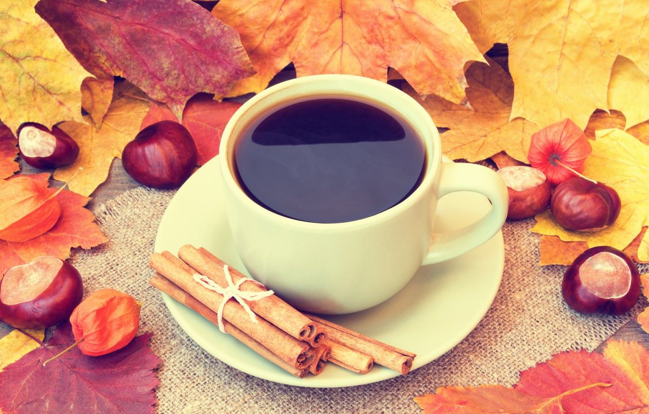Wallpaper autumn, leaves, coffee, Cup, acorns, autumn, leaves, book, fall, cup of coffee image for desktop, section еда