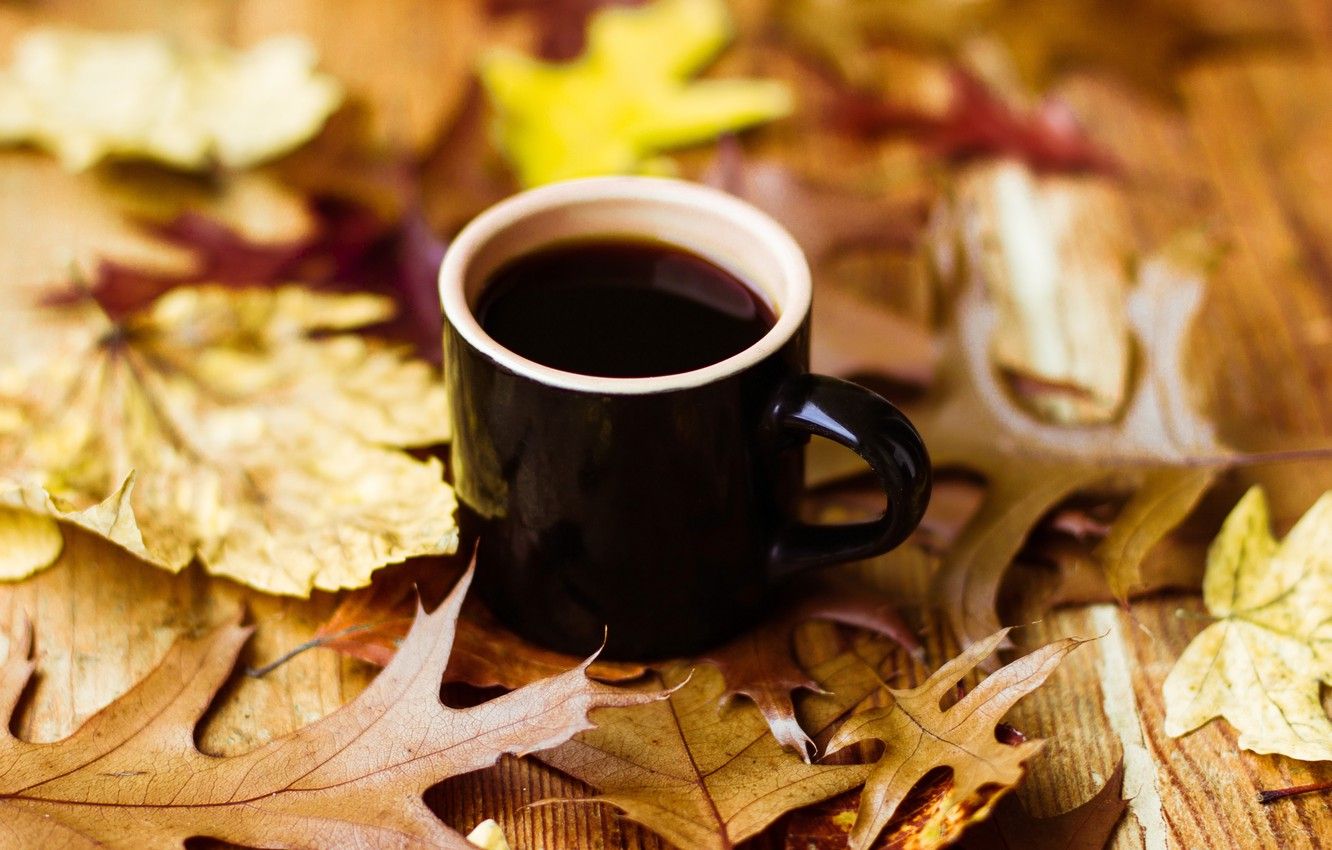 Wallpaper autumn, leaves, coffee, Cup, autumn, leaves, book, fall, cup of coffee image for desktop, section настроения
