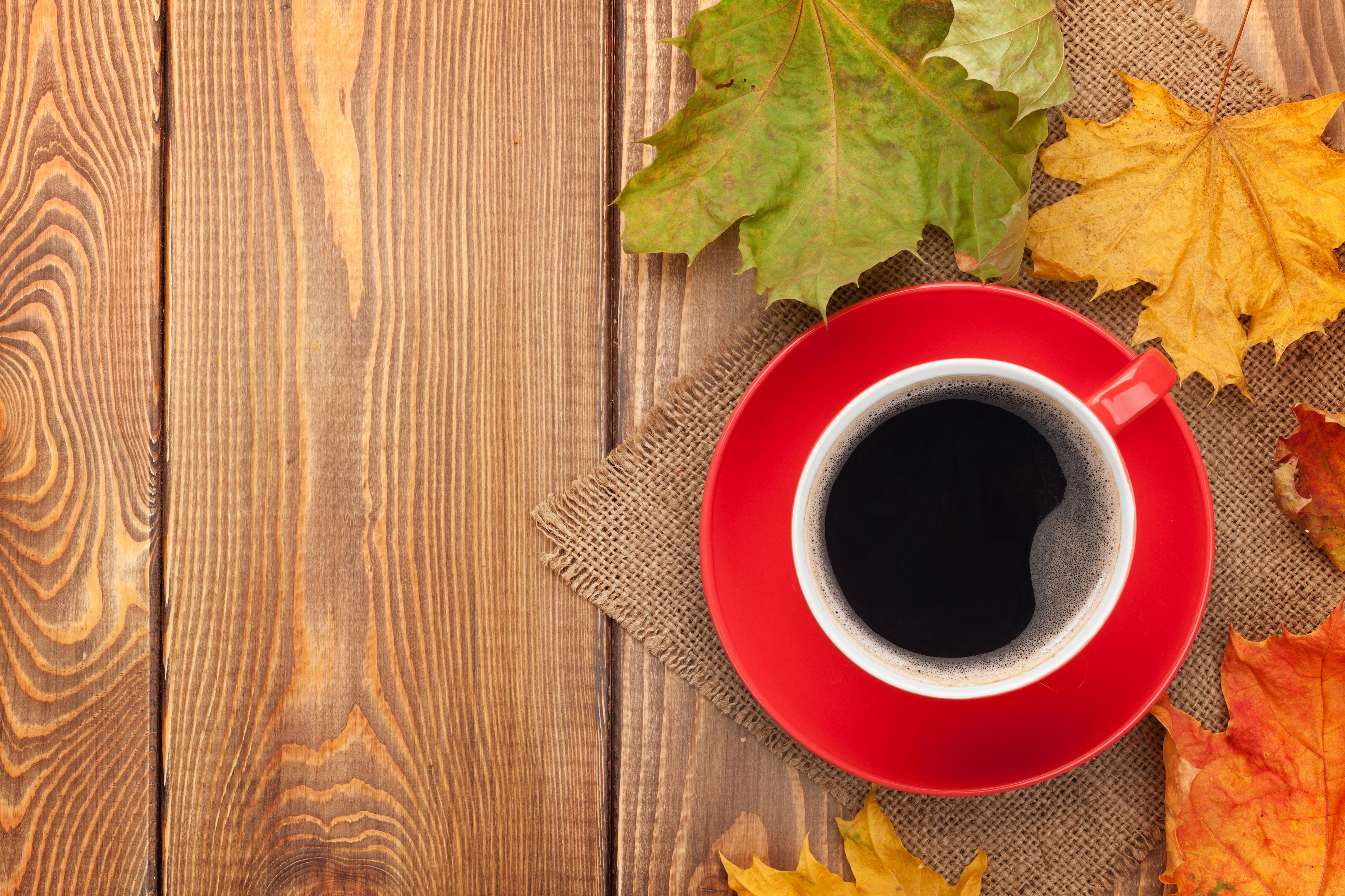 Autumn Background With Leaves And Cup Of Coffee Quality Image And Transparent PNG Free Clipart