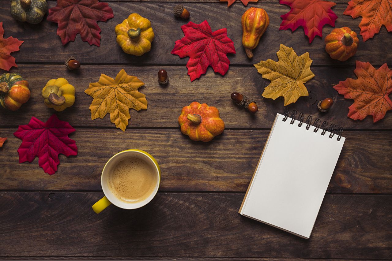 image Leaf Notepad Autumn Coffee Pumpkin Cup Food boards