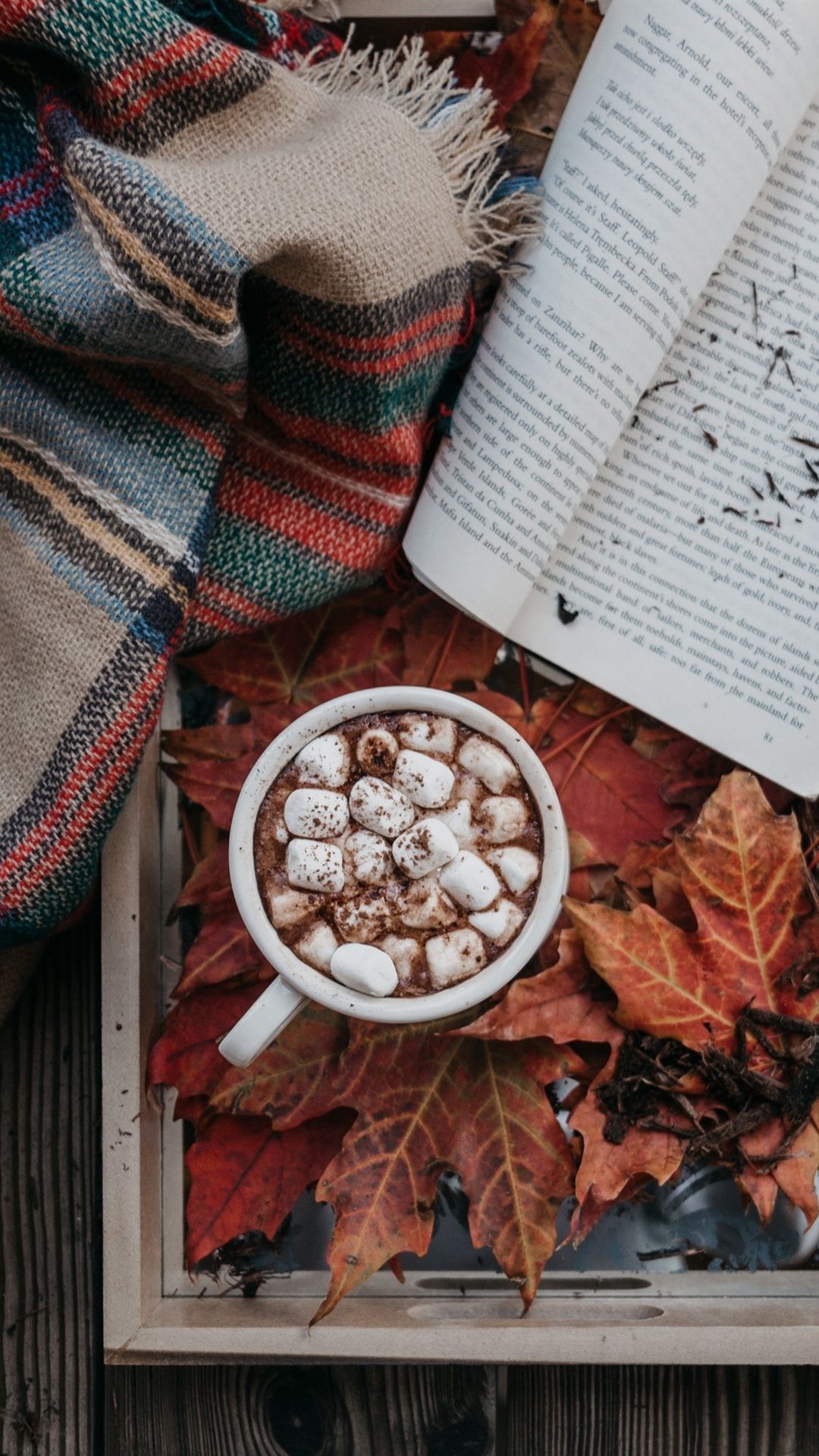 Coffee, Cocoa, Marshmallow, Book, Leaves, Autumn 1080x1920 IPhone 8 7 6 6S Plus Wallpaper, Background, Picture, Image