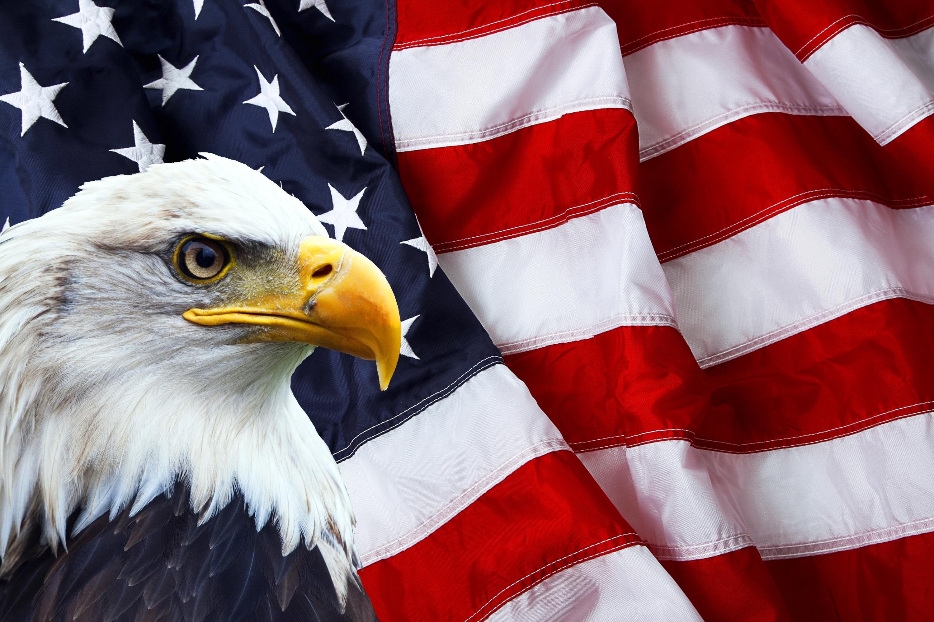 United States Symbols: Free Social Studies Lesson Plan for 3rd, 4th, and 5th Grade. Usa flag wallpaper, American bald eagle, American flag picture