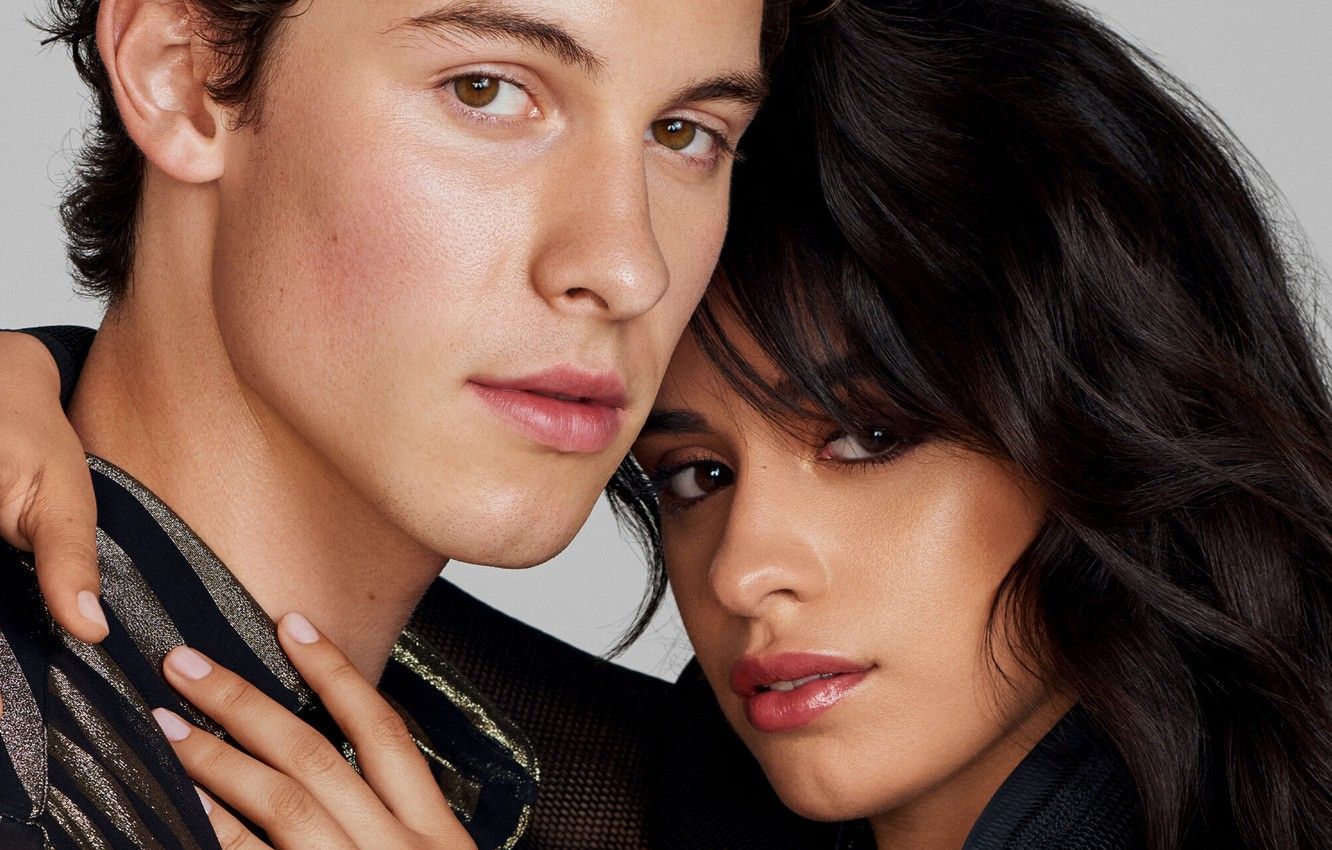 Wallpaper girl, hugs, guy, Camila Hair, Shawn Mendes image for desktop, section разное