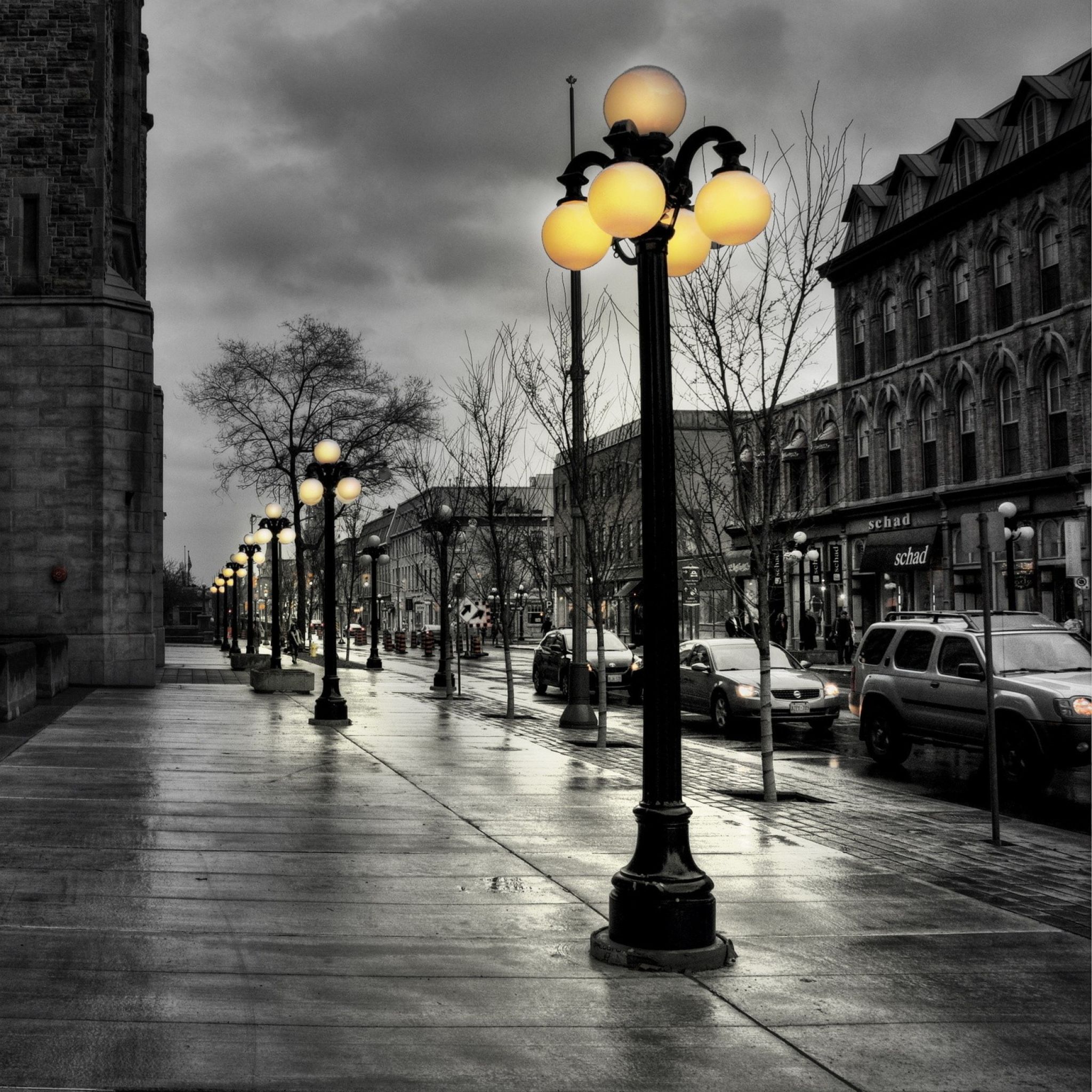 Wallpaper street, city, evening, black white, lights, buildings, hdr. Autumn rain, Street light, Picture