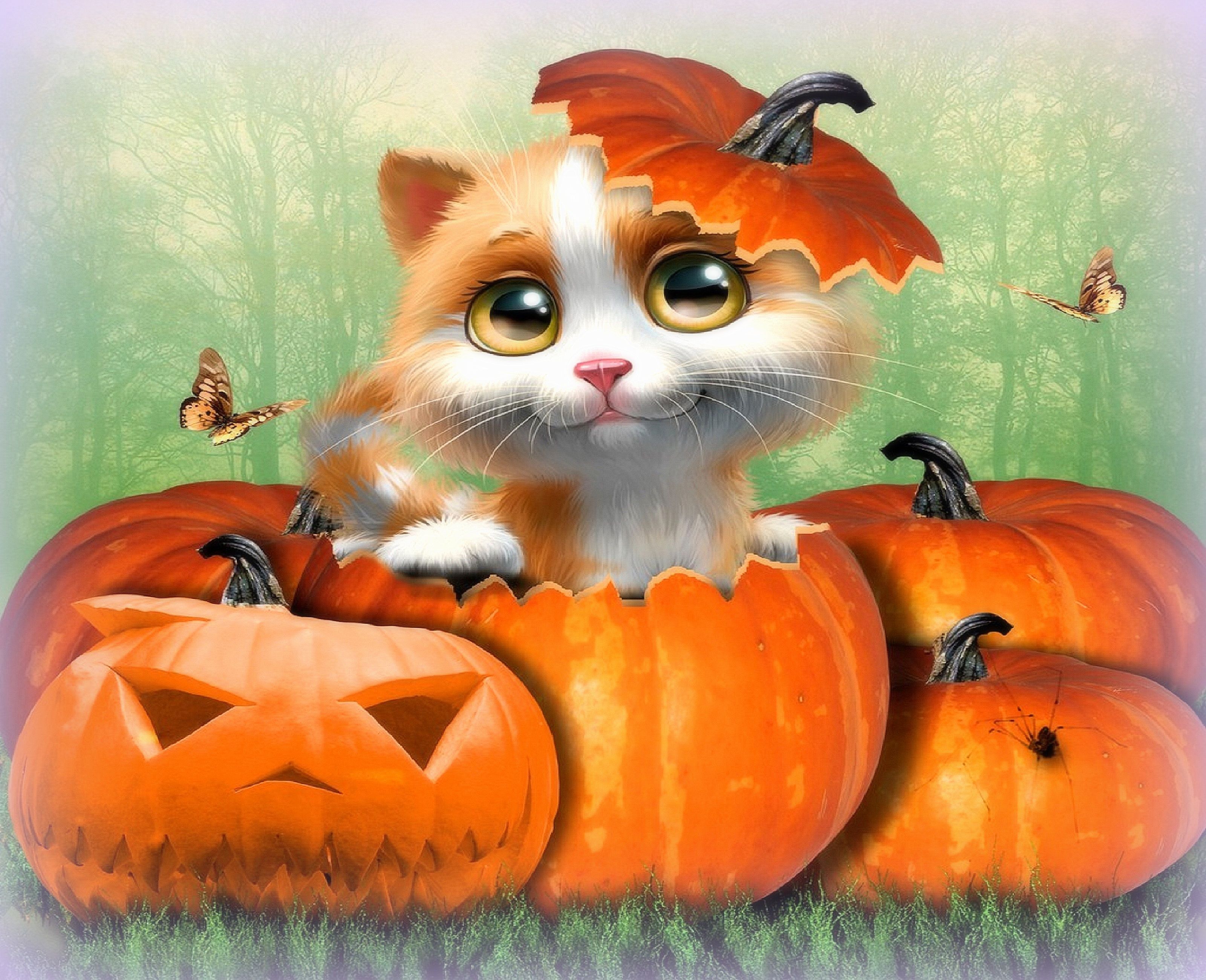 Cute Cat Halloween Desktop Background wallpaper HD free. Halloween cat, Halloween art, Pumpkin wallpaper