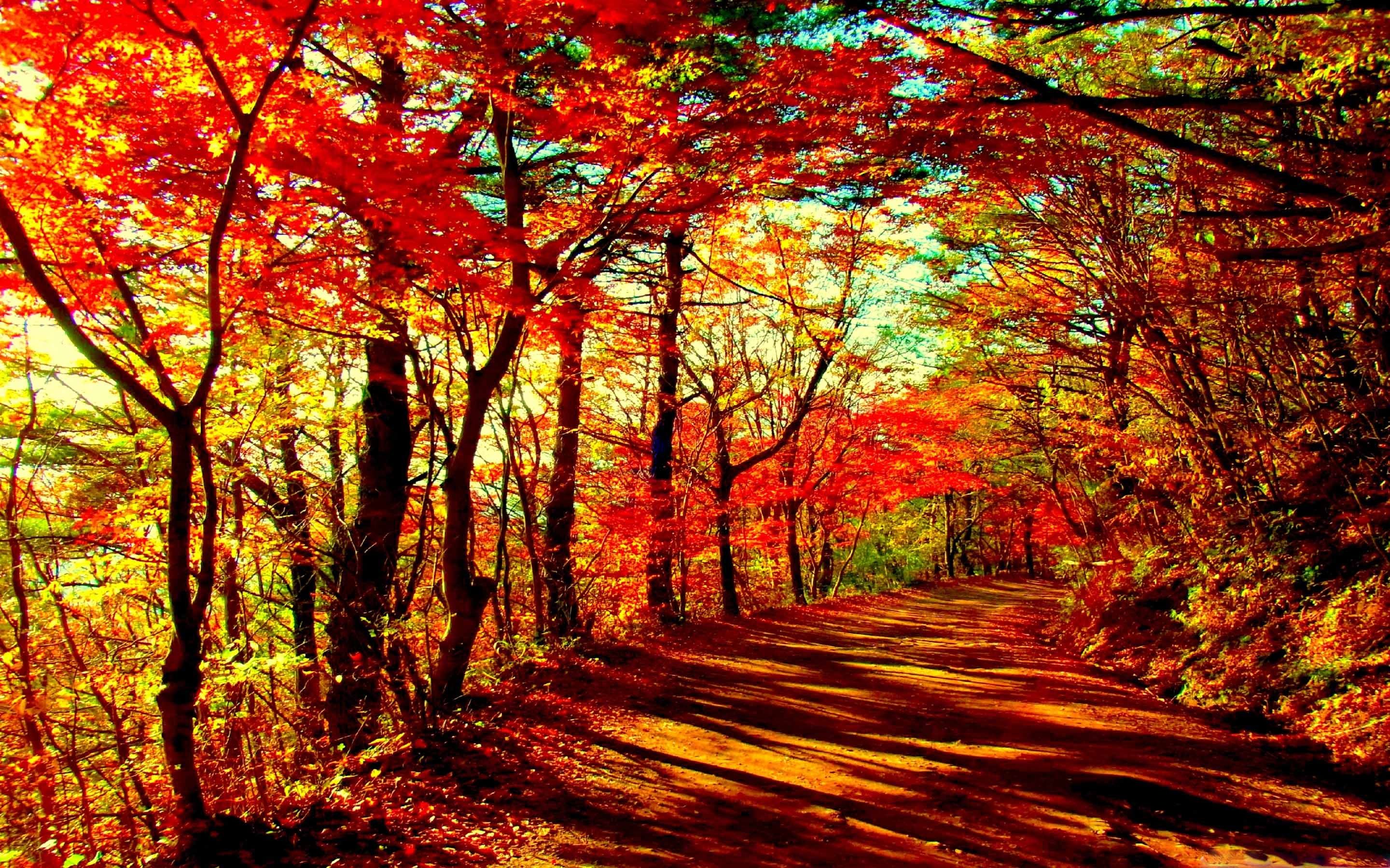 20 Fall Computer Backgrounds Thatll Instantly Make You Feel Cozy  Fall  computer backgrounds Halloween desktop wallpaper Desktop wallpaper fall