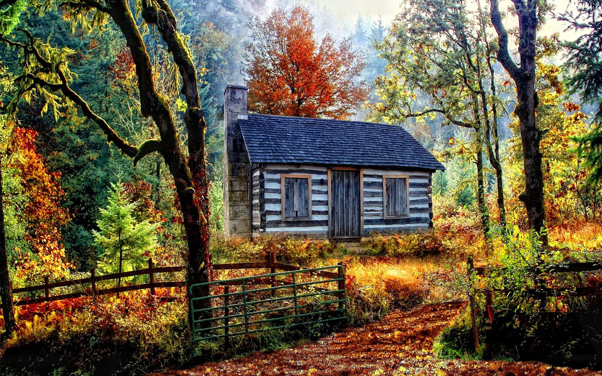 Free photo: Autumn cottage, Orange, Outside