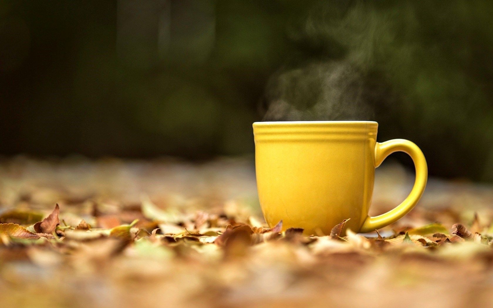 Autumn Gold Whispers. Yellow cups, Hot tea, Coffee wallpaper
