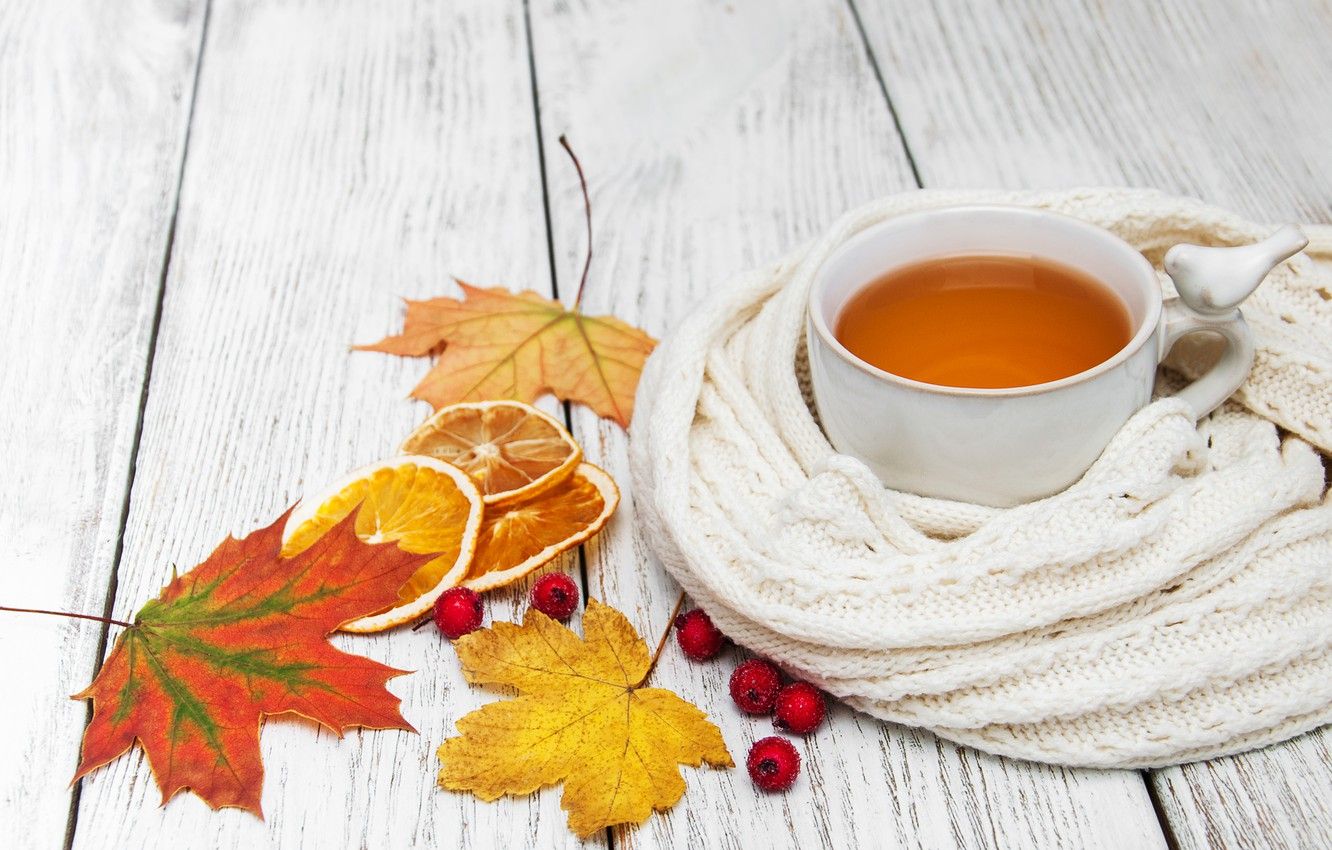 Wallpaper autumn, leaves, colorful, scarf, autumn, leaves, cup, tea, scarf, maple, Cup of tea image for desktop, section настроения