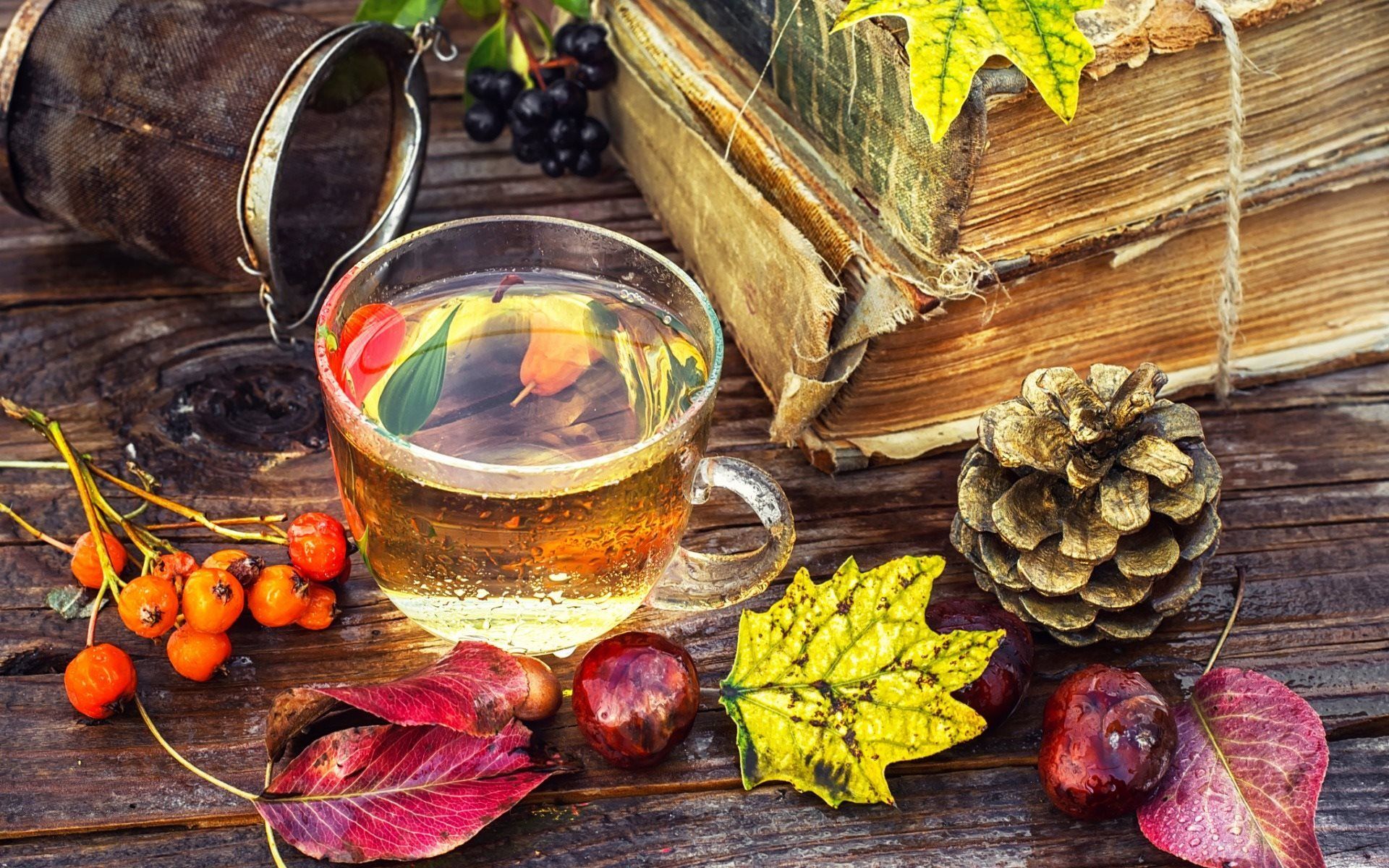 Download wallpaper autumn, leaves, cup of tea, old books, chestnuts for desktop with resolution 1920x1200. High Quality HD picture wallpaper