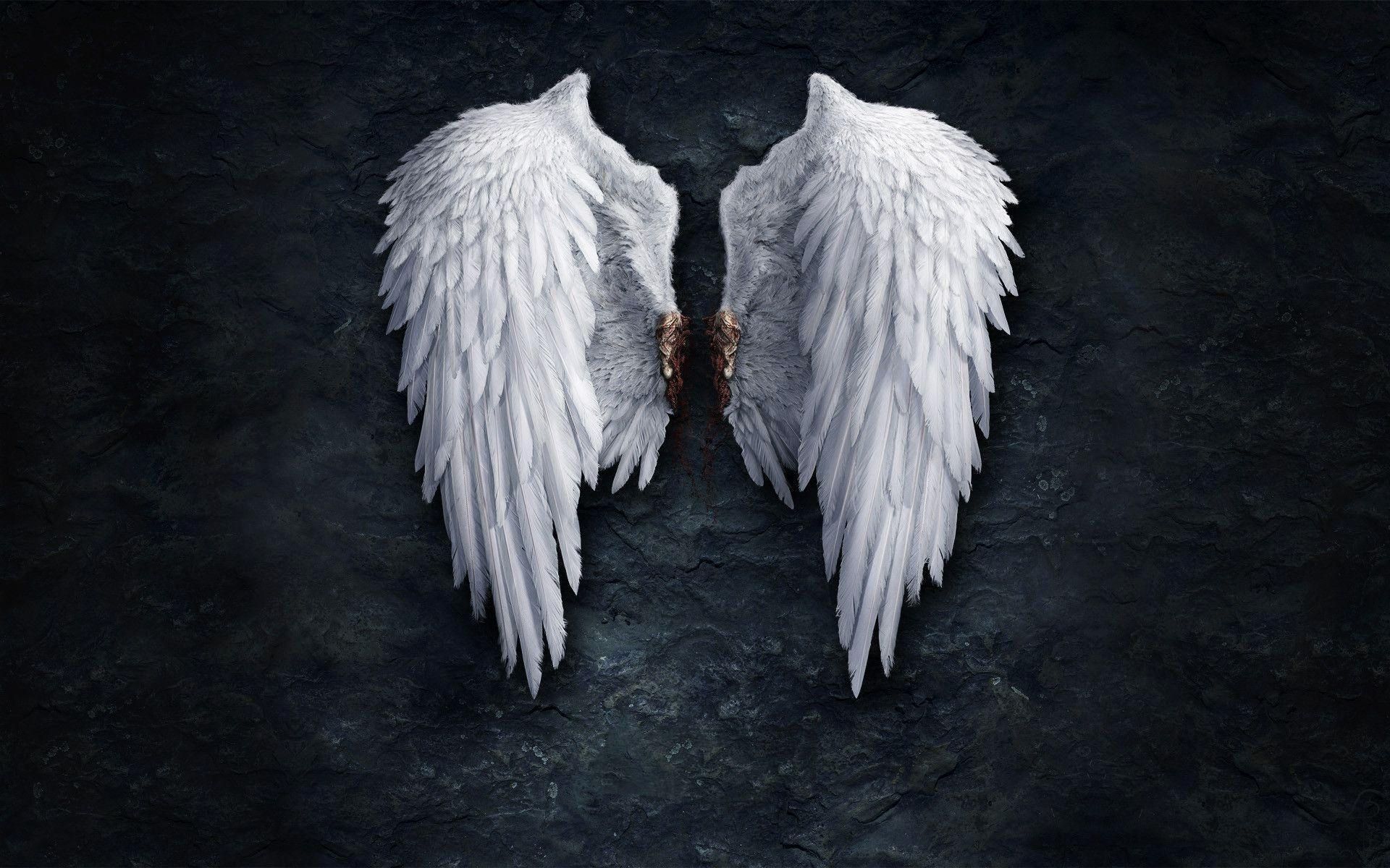 Angel Wing Background Awesome Angel White Wing Background Blue Angel Wings Background Image for Free Download 2019 of The Hudson