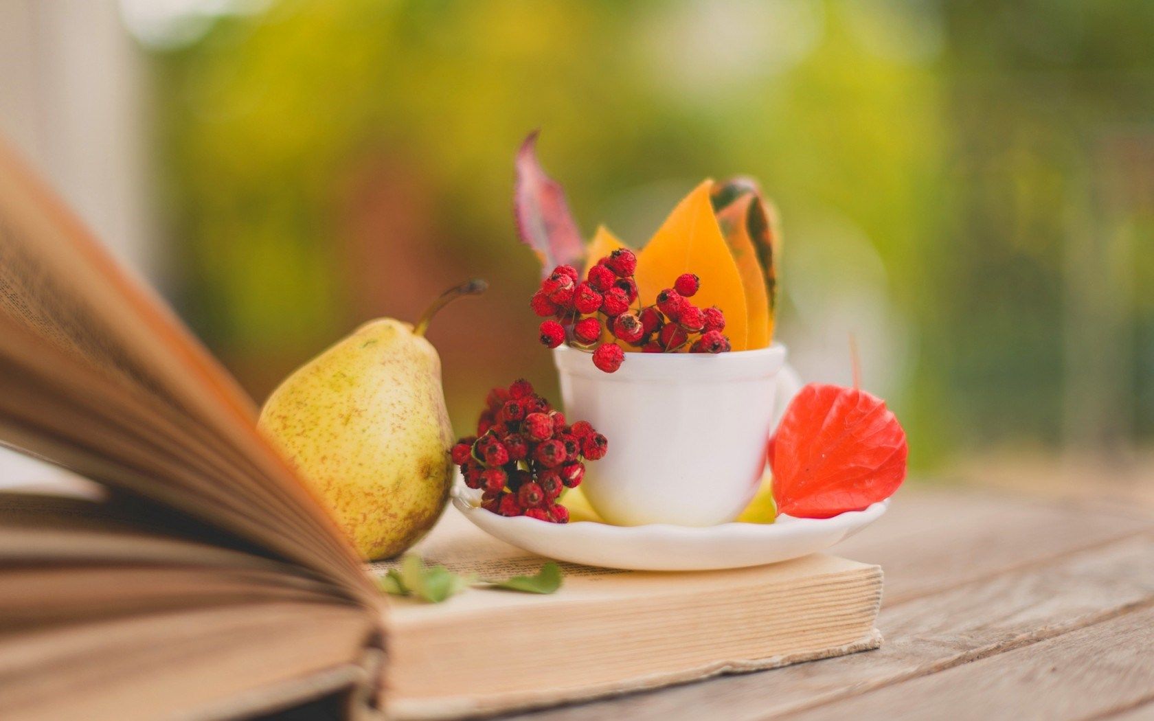 Book Pear Leaves Cup Berries Red Autumn