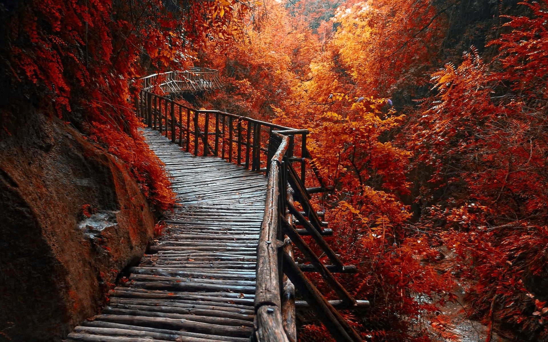 nature, Landscape, River, Forest, Fall, Walkway, Path, Trees, Leaves Wallpaper HD / Desktop and Mobile Background