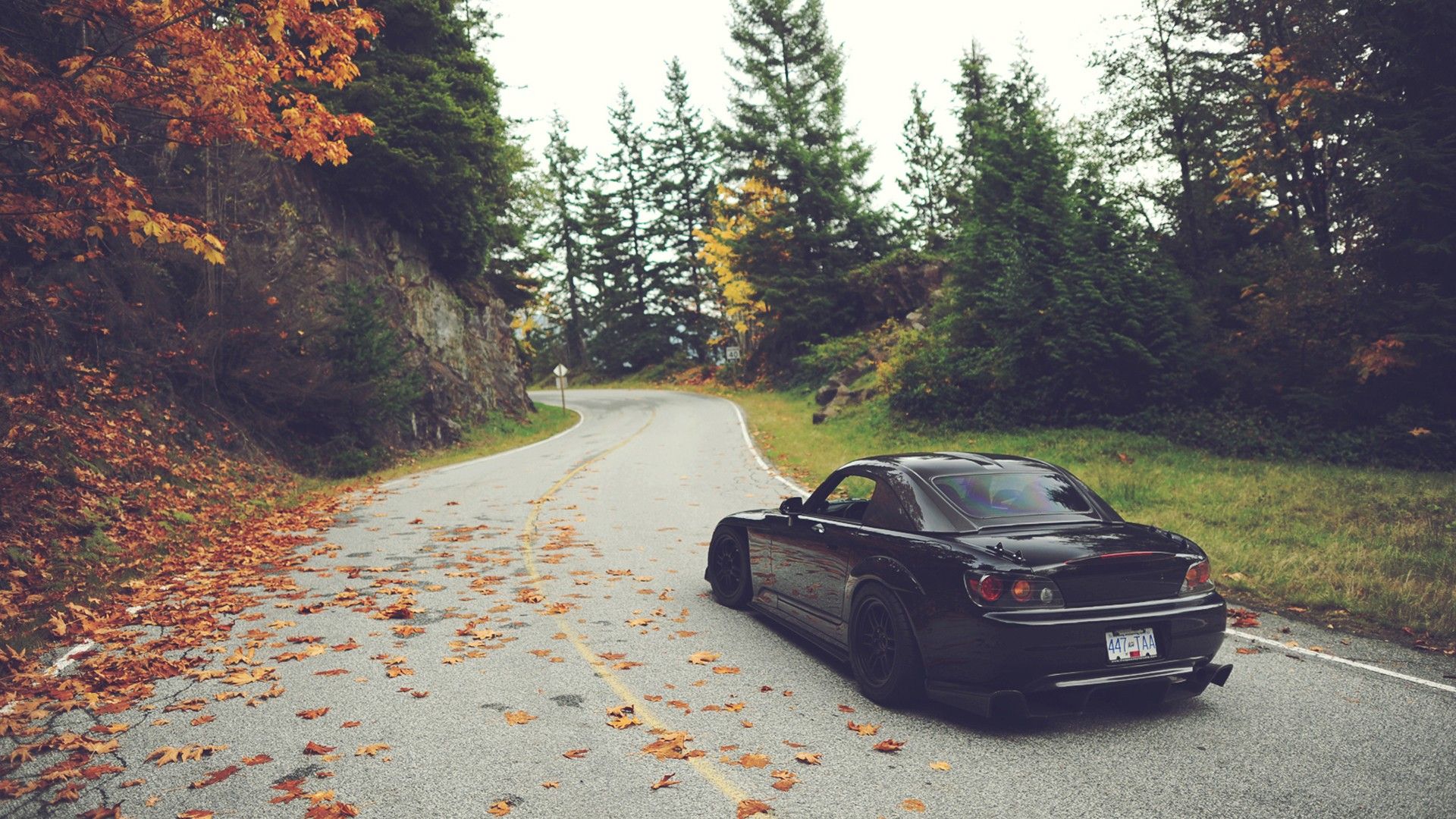 trees, autumn, leaves, roads, tuning, sport car wallpaper
