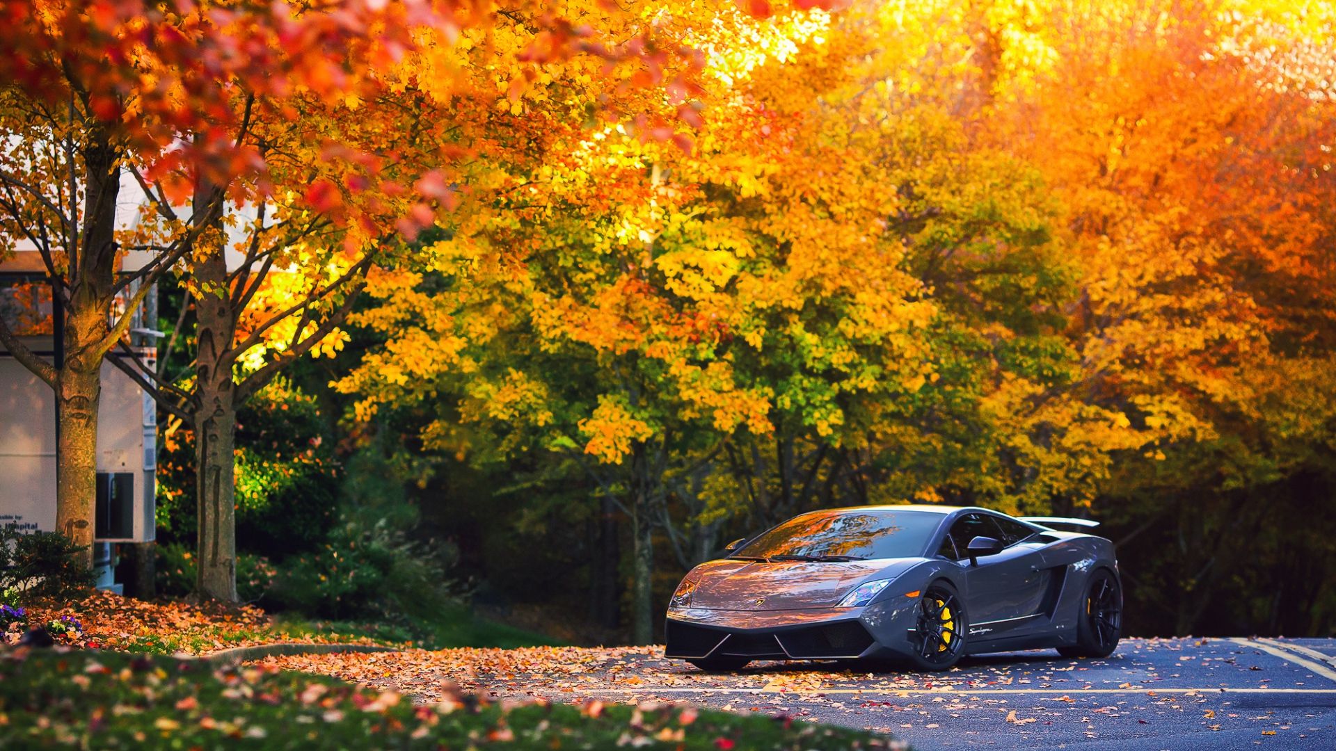 Download 1920x1080 HD Wallpaper lamborghini gallardo roadster autumn luxury, Desktop Background HD