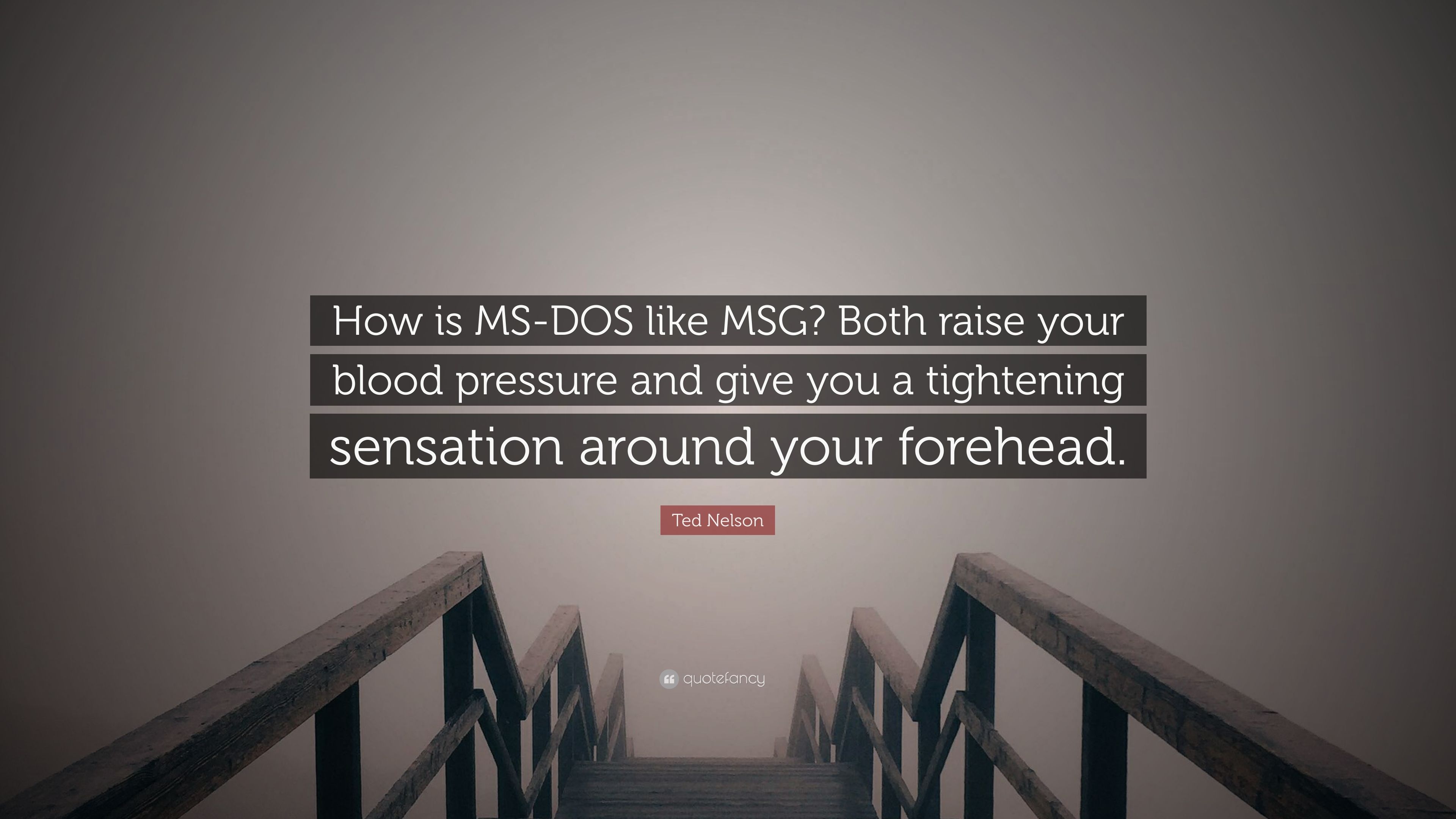 Ted Nelson Quote: “How Is MS DOS Like MSG? Both Raise Your Blood Pressure And Give You A Tightening Sensation Around Your Forehead.” (7 Wallpaper)
