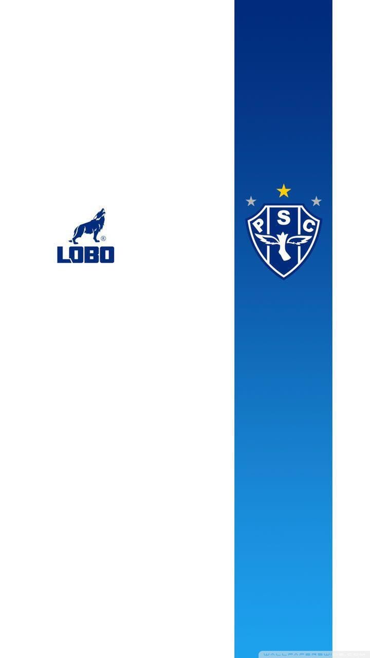 Camisa Paysandu n 2 Lobo Ultra HD Desktop Background Wallpaper for