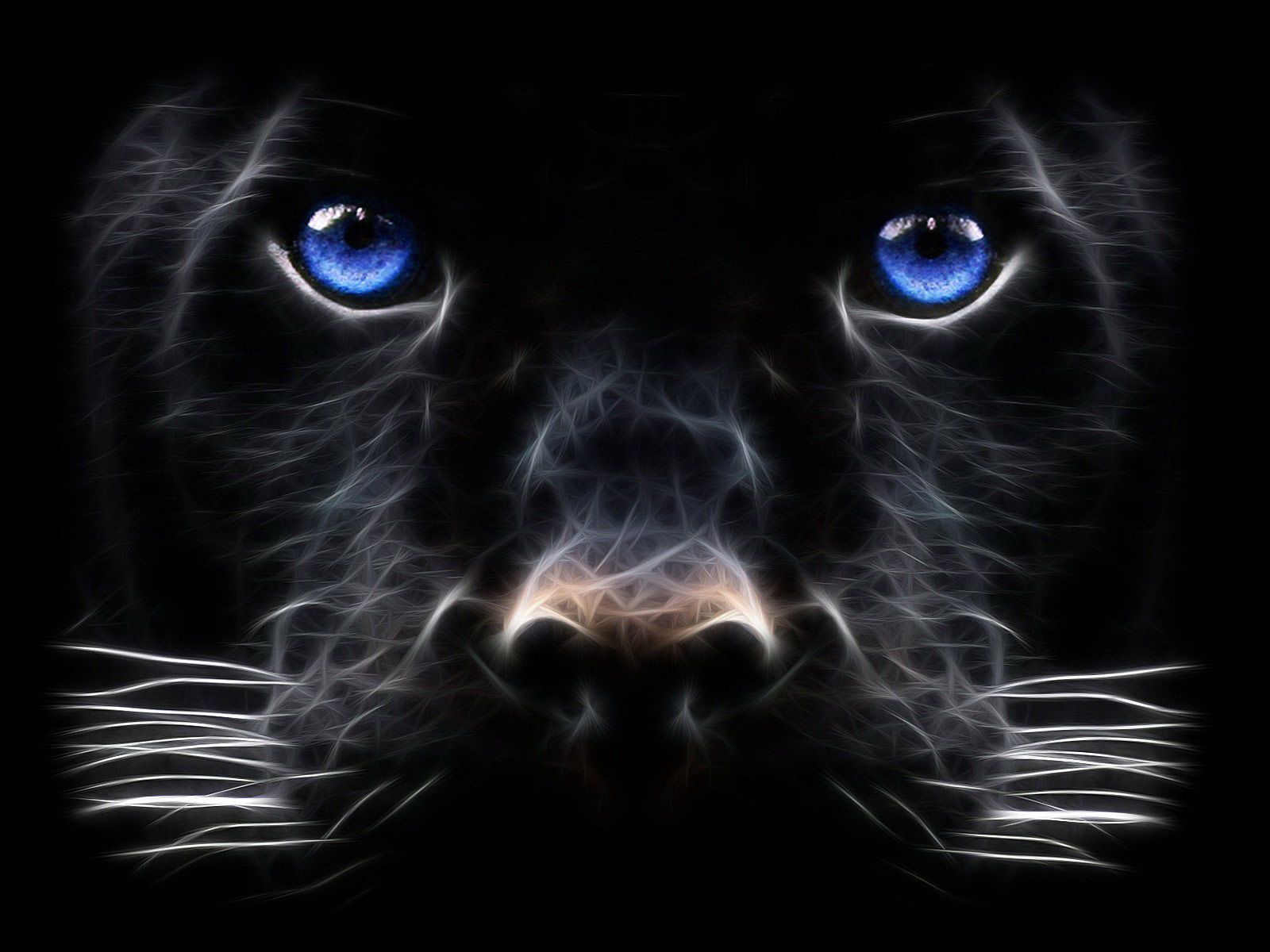 Black Panther Blue Eyes Wallpaper