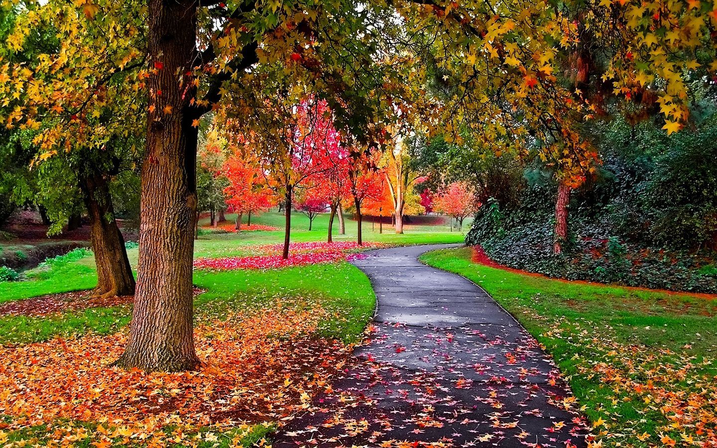 Autumn Wallpaper: Autumn in the Park. Autumn nature, Autumn park, Park