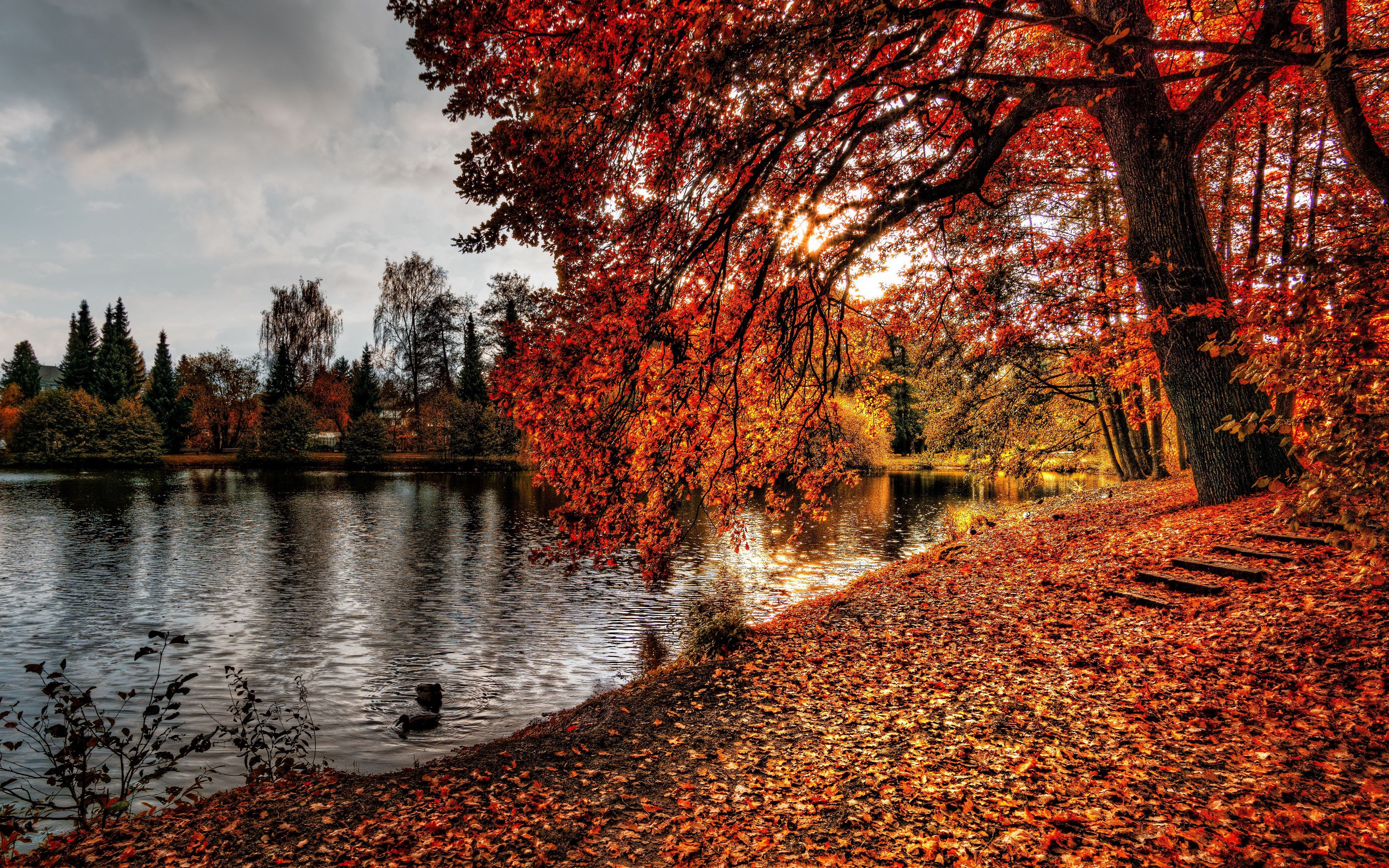 Download wallpaper 3840x2400 autumn, park, foliage, lake 4k ultra HD 16:10 HD background
