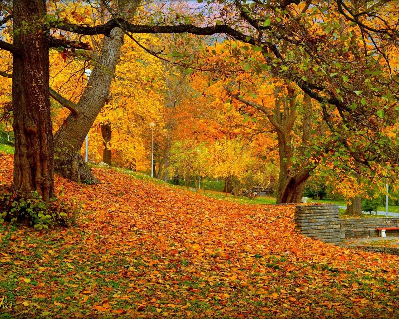 Autumn In The Park Wallpapers - Wallpaper Cave