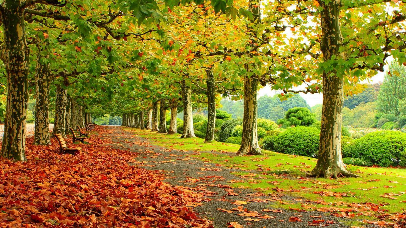 Free download Beautiful Autumn Park HD Wallpaper HD Wallpaper [1366x768] for your Desktop, Mobile & Tablet. Explore Beautiful Autumn Wallpaper. Beautiful Fall Scenery Wallpaper
