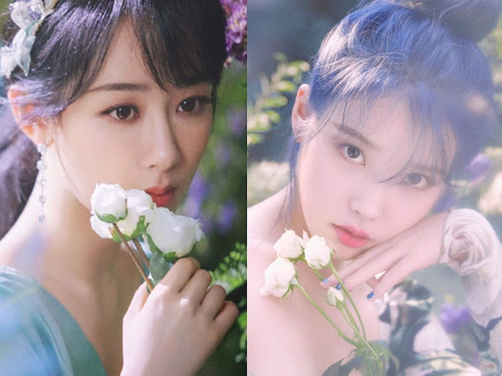 Yang Zi accused of plagiarising IU's album cover