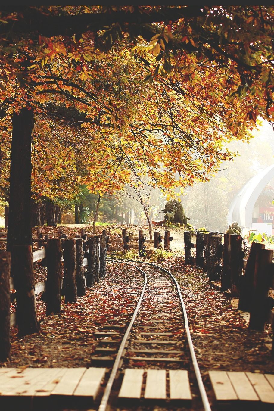 autumn railway. Musim gugur, Dunia, Mengagumkan