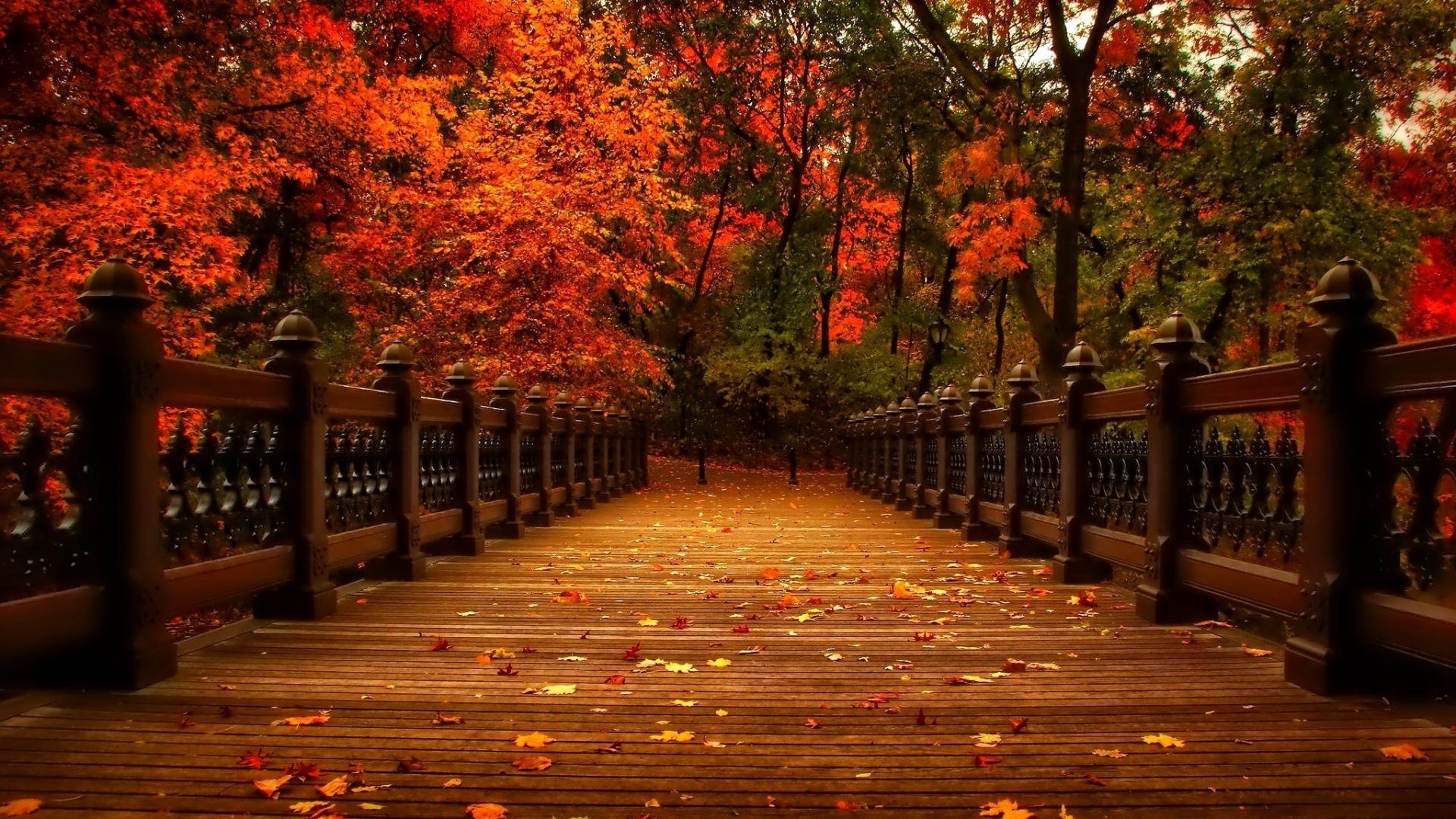 Korea Fall Wallpaper Free Korea Fall Background