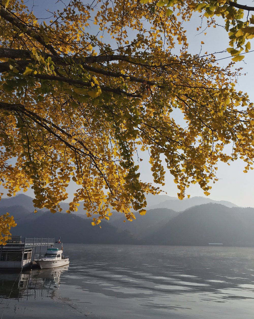 Autumn Nami Island Wallpapers - Wallpaper Cave