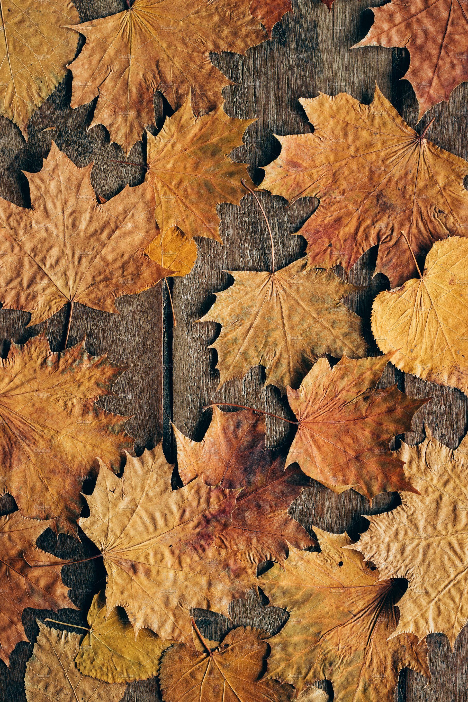 Autumn leaves background. Autumn leaves wallpaper, Leaf background, Autumn leaves background