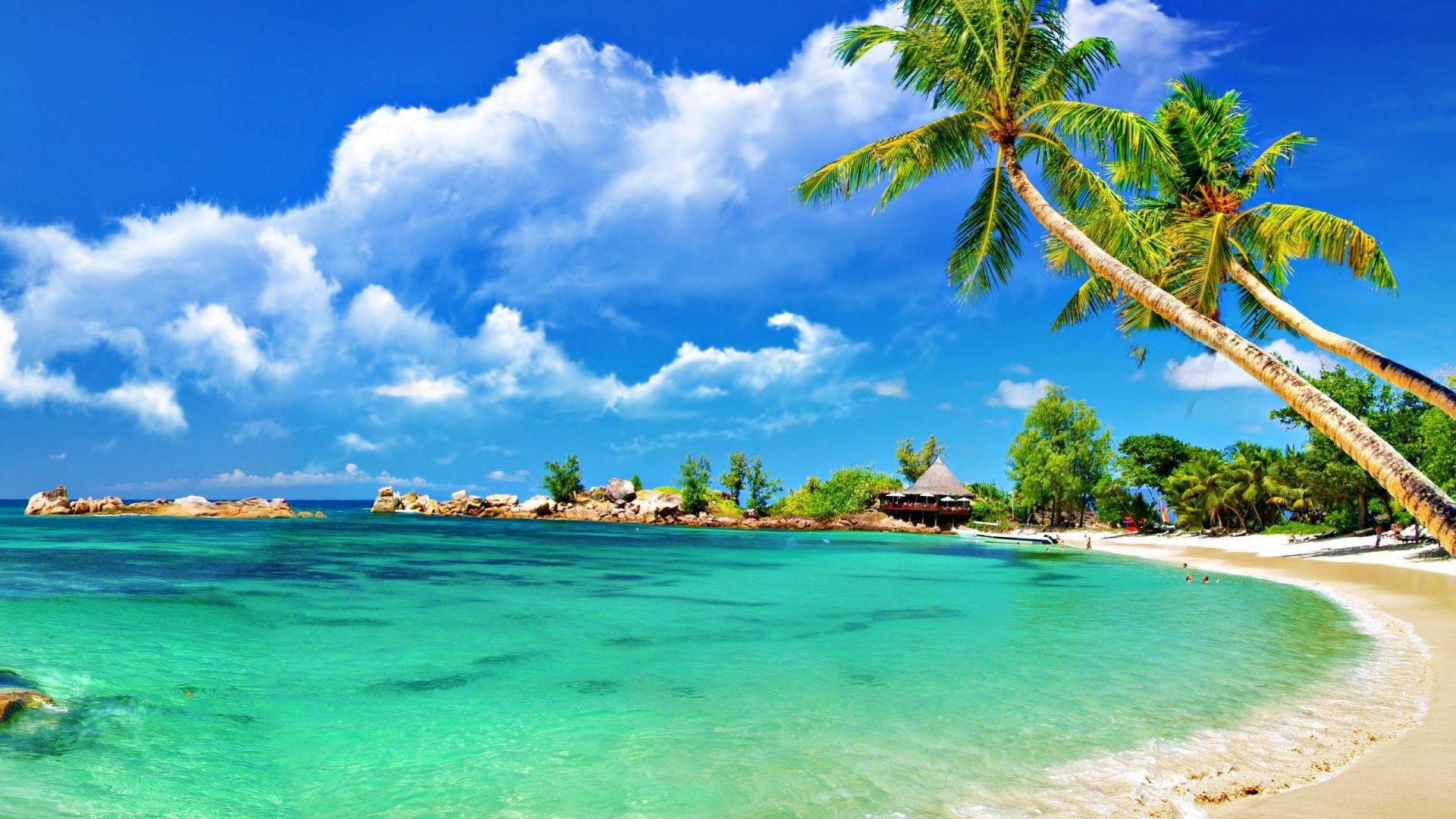 Free download Background For Computer Screen Beach Beach wallpaper thumbnail [2560x1600] for your Desktop, Mobile & Tablet. Explore Free Wallpaper for Laptops Beaches. Free Wallpaper For Desktop, Free Wallpaper