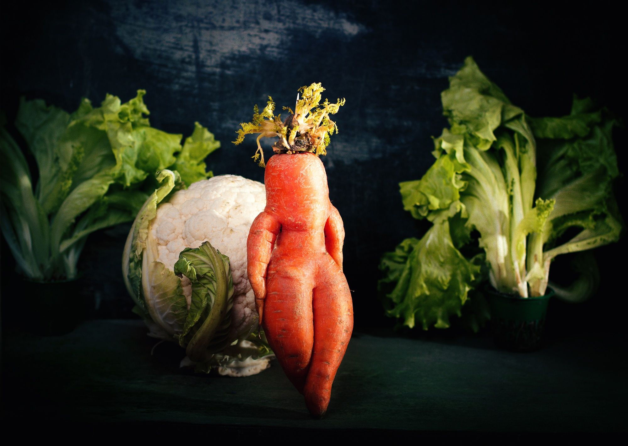 Desktop Wallpaper Funny Carrots Food Vegetables 2000x1420