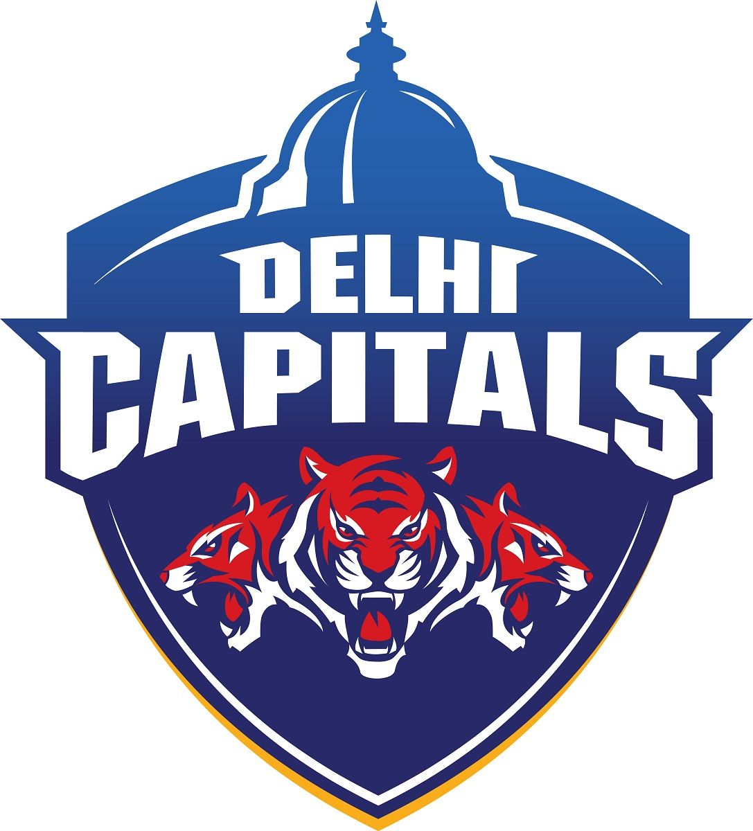 Delhi Capitals Logo. Cricket logo, Ipl, Cricket teams